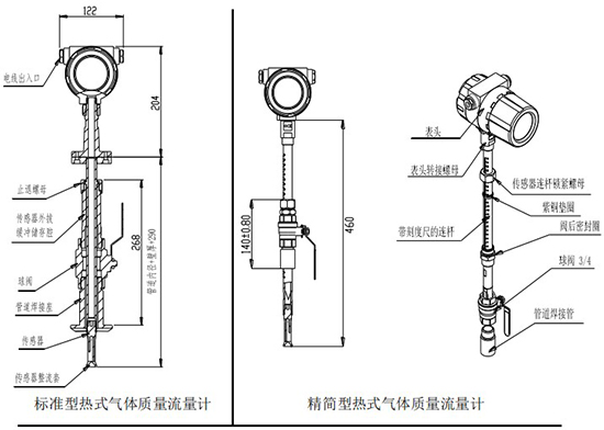 氣體質(zhì)量流量計(jì)插入式結(jié)構(gòu)圖