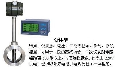 dn25渦街流量計(jì)分體型產(chǎn)品圖