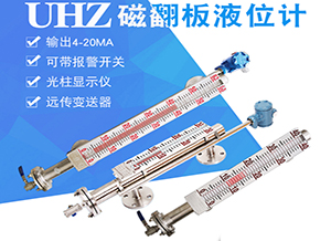 衛(wèi)生型磁翻柱液位計